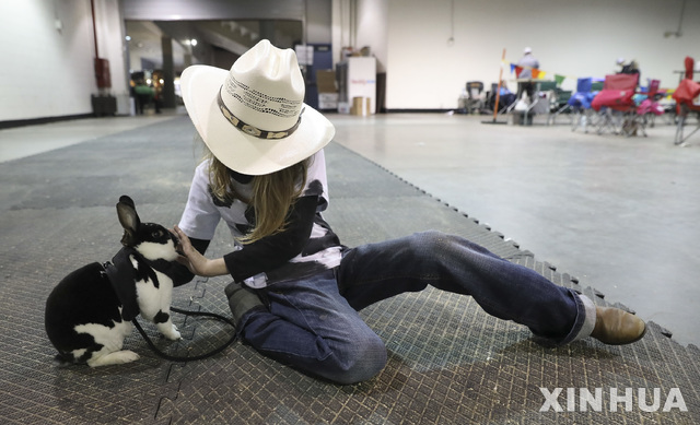 【휴스턴( 미 텍사스주) = AP/뉴시스】미국 휴스턴에서 3월 5일 열린 토끼 기르는 어린이 대회에 참가한 어린이가 자기 토끼를 어르고 있다.&nbsp; 이 대회는 휴스턴 가축 쇼 및 로디오 대회의 일환으로 마련되었다.&nbsp;&nbsp; 