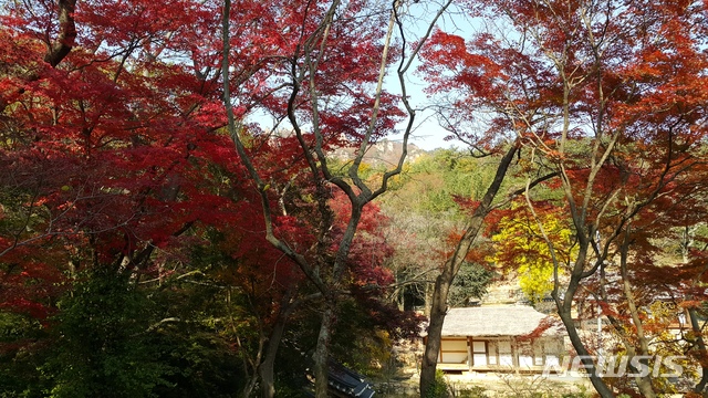 강진 백운동 원림