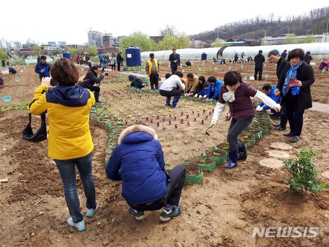 【서울=뉴시스】 2019년 금천 친환경 주말농장 분양. 2019.03.08. (사진= 금천구 제공)