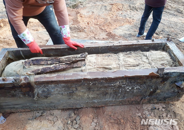 【대구=뉴시스】김덕용 기자 = 지난 1월 31일 구미시 해평면 금산리 안동고씨 선영에서 발견된 조선중기 시대 문인이며 학자인 두곡 고응척 선생의 내관 모습 2019. 03. 09.(사진=안동고씨 문중 제공)&nbsp; photo@newsis.com