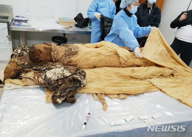 【대구=뉴시스】김덕용 기자 = 지난 8일 서울대 의과대학팀이 구미시 해평면 금산리 안동고씨 선영에서 발견한 두곡 고응척 선생의 미라와 습의를 수습해 해포작업 하고 있다. 2019. 03. 09.(사진=안동고씨 문중 제공)&nbsp; photo@newsis.com