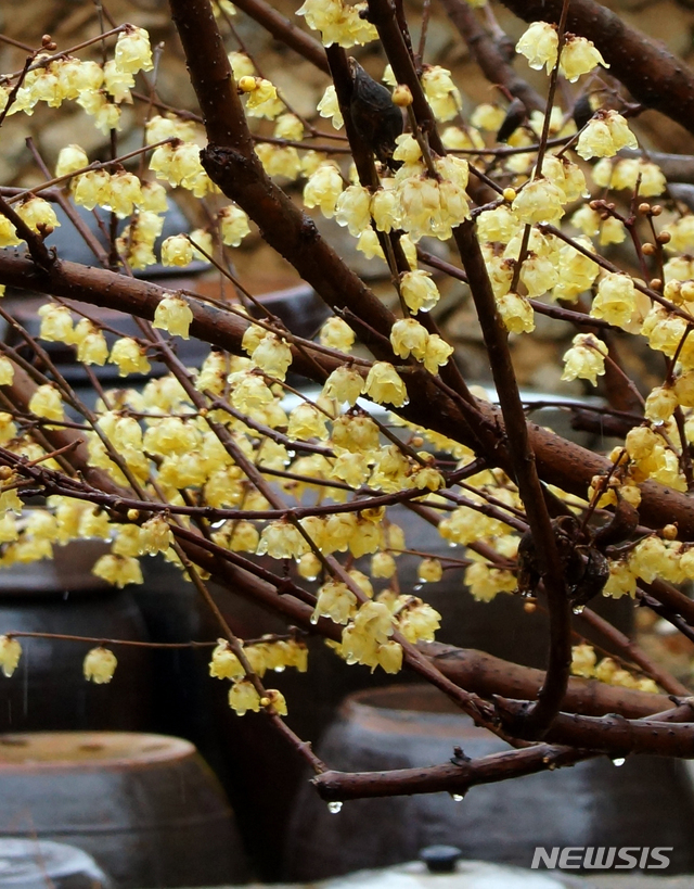 【서울=뉴시스】박태홍 기자 = (사진= 박성배 작가 제공) hipth@newsis.com