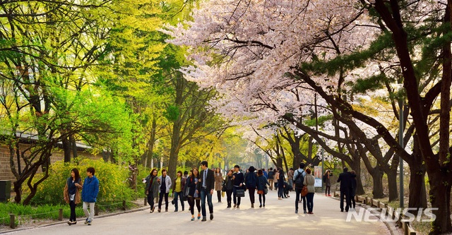 덕수궁 대한문 진입로