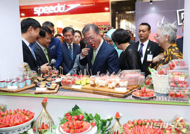【쿠알라룸푸르(말레이시아)=뉴시스】전신 기자 = 말레이시아를 국빈 방문한 문재인 대통령이 12일 쿠알라룸푸르 원우타마 쇼핑몰에서 열린 한-말레이시아 한류-할랄 전시회에서 한국산 딸기를 맛보고 있다. 2019.03.12. photo1006@newsis.com