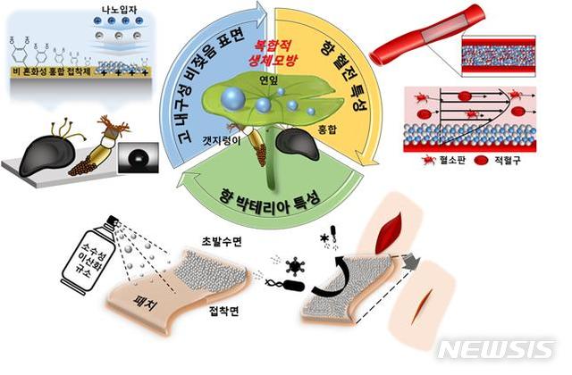 【포항=뉴시스】강진구 기자 = 포스텍(총장 김도연)은 화학공학과 차형준, 용기중 교수와 박사과정 박태윤, 한기덕 씨가 공동연구를 통해 홍합 접착단백질의 상분리 현상(phase separation)을 이용해 고내구성을 지닌 초발수 표면을 제작하는 데 성공했다고 14일 밝혔다.사진은 고내구성 초발수 표면 제작 연구흐름도.2019.03.14.(사진=포스텍 제공) photo@newsis.com