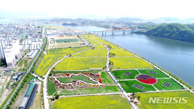 【창녕=뉴시스】안지율 기자 = 경남 창녕군이 오는 4월11일부터 14일까지 제14회 창녕 낙동강 유채 축제’를 앞두고 행사준비에 박차를 가하고 있다고 14일 밝혔다. 사진은 지난해 낙동강 유채단지 전경. 2019.03.14. (사진=창녕군 제공) photo@newsis.com