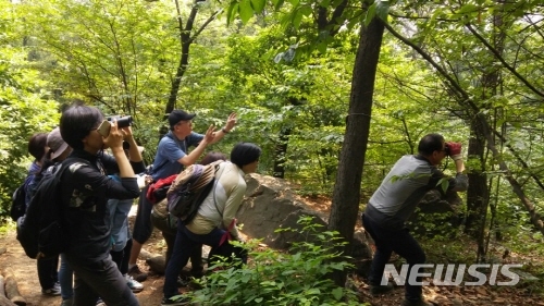 【서울=뉴시스】남산 새 시민모니터링 자원활동. 2019.03.20. (사진=서울시 제공)