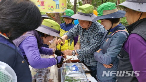 【서울=뉴시스】남산 유아숲 체험장 자원봉사 모습. 2019.03.20. (사진=서울시 제공)