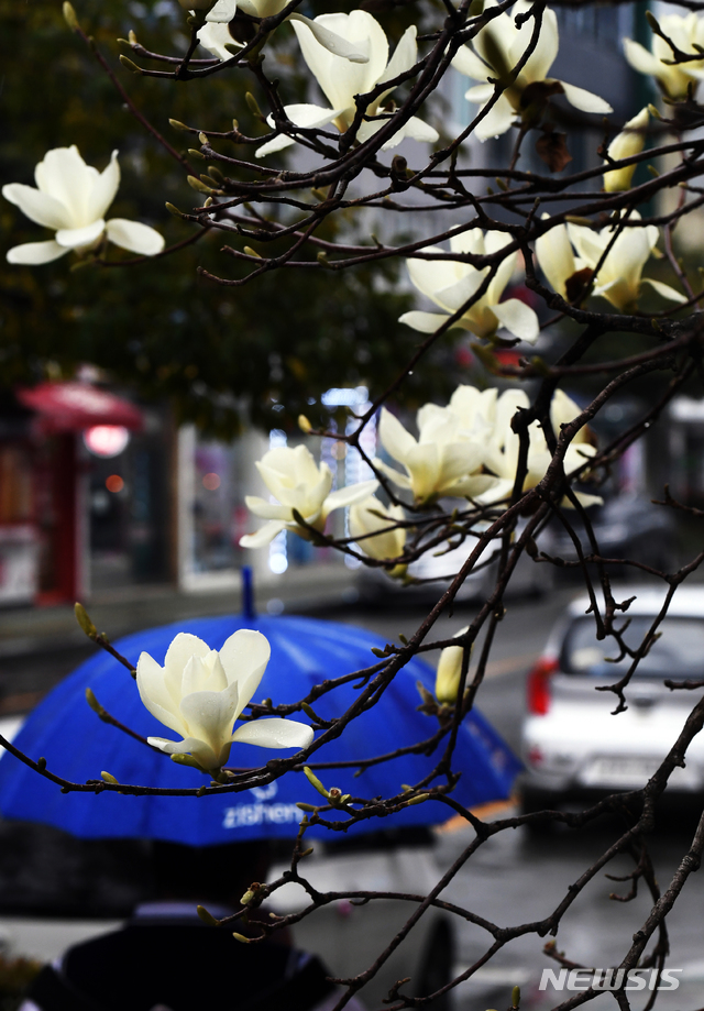 【남해=뉴시스】차용현 기자 = 봄비가 내리고 있는 지난 20일 오후 경남 남해군 남해읍 한 도로 위를 우산을 쓴 주민이 걸어가고 있다. 2019.03.20.&nbsp; con@newsis.com