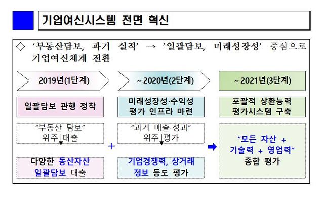 【서울=뉴시스】21일 관계부처 합동으로 발표된 '혁신금융 추진방향'에 포함된 기업여신심사 시스템 전면 혁신안. (자료=금융위원회 제공)