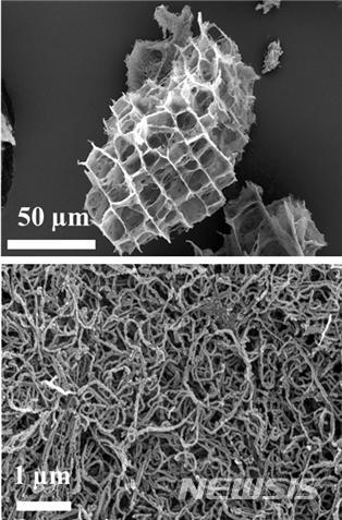 【포항=뉴시스】강진구 기자 = 포스텍(총장 김도연)은 화학공학과 김원배 교수와 김윤곤 박사 연구팀이 전도성 고분자 물질을 활용해 벌집 모양의 3차원 전극 구조를 구현했다고 21일 밝혔다.이를 통해 리튬이온배터리 대비 5배 이상 높은 용량을 갖는 리튬황이온 배터리 전극을 개발해 차세대 전지 연구의 새로운 방향을 제시했다는 평가를 받고 있다.사진은 연구모형도.2019.03.21.(사진=포스텍 제공) photo@newsis.com