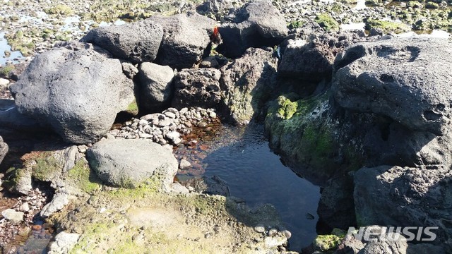 [제주=뉴시스]제주시 애월읍 관전동 거시린물. (사진=뉴시스DB)