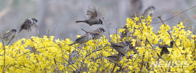 전국 포근하지만 미세먼지는 '나빠요'