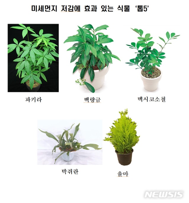 【세종=뉴시스】