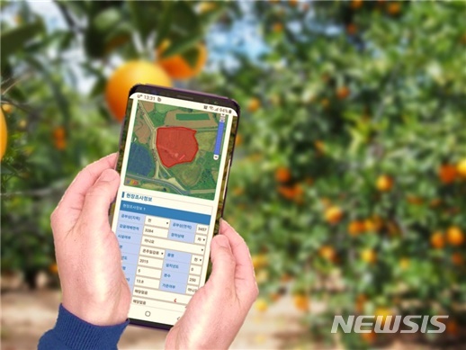감귤재배 정보를 스마트폰으로 확인하는 모습. photo@newsis.com