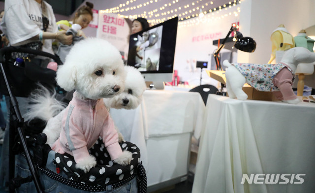 이제 '개·고양이 피자'까지…커지는 반려동물 시장