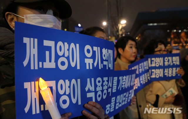 【서울=뉴시스】 고범준 기자 = 개식용 종식을 위한 국민모임 회원들이 30일 오후 서울 종로구 세종로공원에서 개, 고양이 식용 종식을 위한 1,500만 반려인 촛불집회를 하고 있다. 2019.03.30. bjko@newsis.com