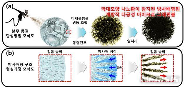 【서울=뉴시스】막대모양 황이 담지된 그래핀볼 복합체 조립 과정. (a) 분무 동결 합성방법을 통해 만들어진 막대모양 황이 담지된 방사배향된 개방형 다공성 마이크로 그래핀볼 합성방법 모식도이다.(b) 급속 냉동과정에서 물방울 바깥에서 안쪽으로 방사형태로 얼음주형이 형성되고, 이후 동결건조 과정을 거쳐 얼음을 승화시킴으로써 방사형태의 그래핀볼 구조가 형성된다.(사진/한국연구재단 제공)  photo@newsis.com