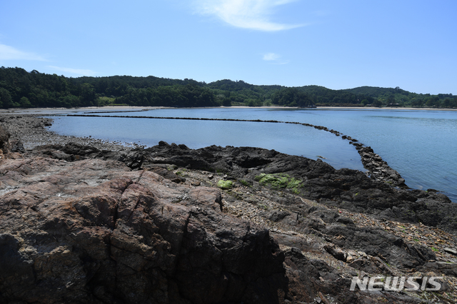 전남 고흥군 소록도에 설치한 독살