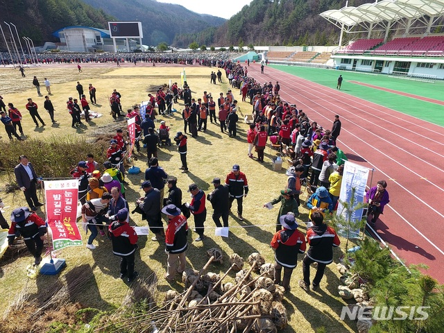 【태백=뉴시스】강원 태백시 나무 나누어주기 행사(뉴시스 DB)