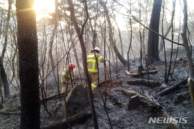 【부산=뉴시스】 3일 오전 부산 해운대구 운봉산 일대 산불 현장에서 소방대원들이 이틀째 진화작업을 펼쳐지고 있다. 부산소방재난본부는 이날 오전 9시 10분께 큰 불길을 잡고 잔불정리를 펼치고 있다고 밝혔다. 2019.04.03. (사진=부산소방본부 제공)&nbsp; photo@newsis.com