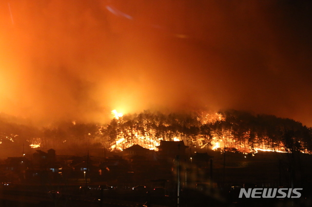 【강릉=뉴시스】김경목 기자 = 4일 오후 11시46분께 강원 강릉시 옥계면 남양리 야산에서 발생한 산불이 무섭게 번지고 있다. 2019.04.05. (사진=동해소방서 제공) photo@newsis.com