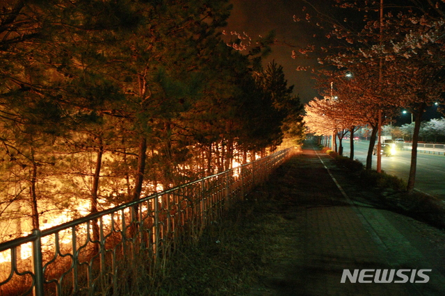 【속초=뉴시스】김태겸 기자 = 4일 오후 11시46분께 강원 속초시 속초IC 인근 야산에서 발생한 산불이 장천마을 일대로 번지고 있다. 2019.04.05. patk21@newsis.com