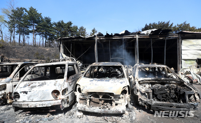 【속초=뉴시스】김선웅 기자 = 5일 강원 속초시의 한 폐차장과 인근 야산이 고성발 산불로 인해 불에 타 있다. 2019.04.05. mangusta@newsis.com