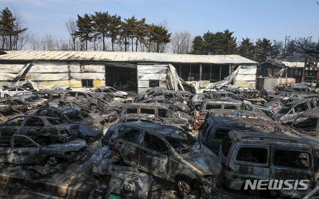 【속초=뉴시스】김선웅 기자 = 5일 강원 속초시의 한 폐차장이 고성발 산불로 인해 불에 타 있다. 2019.04.05. mangusta@newsis.com