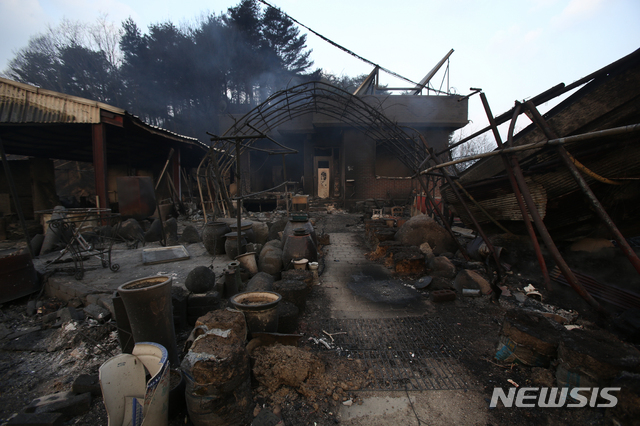【속초=뉴시스】김경목 기자 = 5일 오후 산불 피해가 큰 강원 속초시 장사동 장천마을의 한 농장이 밤새 할퀴고 간 화마에 온통 잿더미다. 2019.04.05. photo31@newsis.com