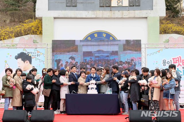 반려동물축제에서 시 동물보호센터에서 일반 가정으로 분양된 지 1년 된 유기견 21마리의 생일잔치가 열리고 있다. (사진제공=용인시)