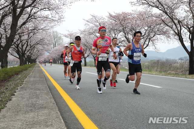 【합천=뉴시스】제18회 합천벚꽃마라톤대회 성황리 폐막. 2019.04.07. (사진=합천군 제공) photo@newsis.com