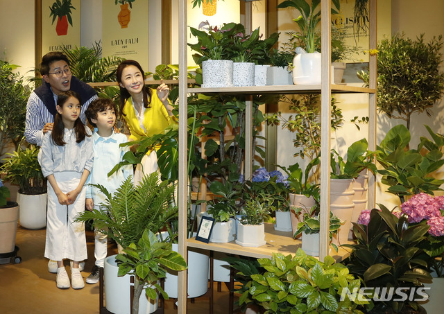 【서울=뉴시스】최동준 기자 = 신세계백화점이 7일 서울 서초구 강남점에서 관음죽, 아레카 야자 등 미 항공우주국(NASA)에서 선정한 공기 정화 식물 등 20여 종의 공기 정화 식물을 소개하는 '신세계 그리너리 페어'를 선보이고 있다.신세계는 행사 기간 열흘간 본점, 강남점, 주요 점포에서 식물의 공기 정화 효과, 관리법, 등 필요한 상품을 고객이 직접 고를 수 있도록 준비했다고 밝혔다. 2019.04.07. photocdj@newsis.com (사진=뉴시스DB)