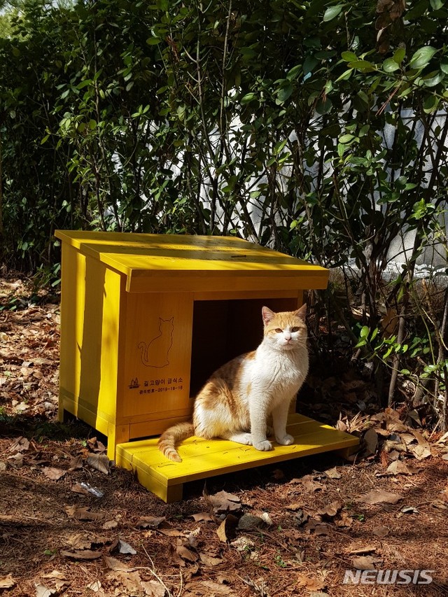 【서울=뉴시스】서울 서초구는 지역 내 산책로 등 21곳에 길고양이 급식소를 운영한다고 9일 밝혔다. 2019.04.09. (사진=서초구 제공)