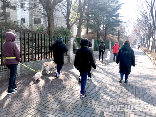 【서울=뉴시스】서울 강북구 도그워커 양성교육. 2019.04.12. (사진=강북구 제공)