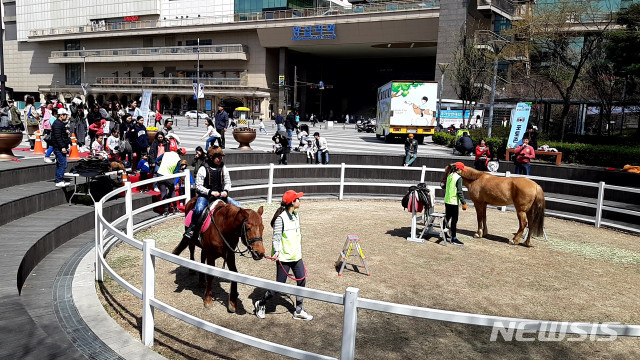 【서울=뉴시스】 성동구, 왕십리광장에서 무료 승마체험. 2019.04.14. (사진= 성동구 제공)