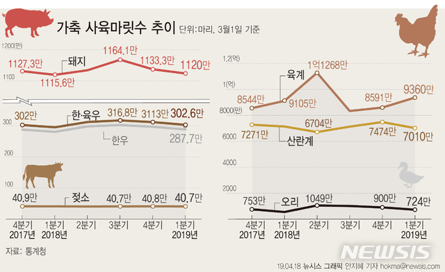 돼지·육계 사육수, 1976년 집계 이래 1분기 기준 최다