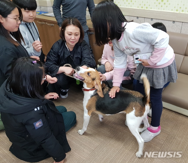 【안동=뉴시스】 학생들과 반려동물이 함께 하는 교실. 2019.04.18 (사진=경북교육청 제공)