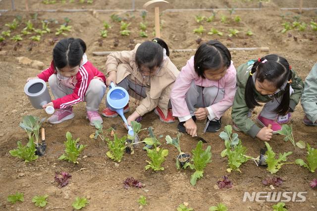 【서울=뉴시스】 양천도시농업공원에서 모종심기를 체험하고 있는 아이들 모습. 2019.04.19. (사진=양천구 제공)