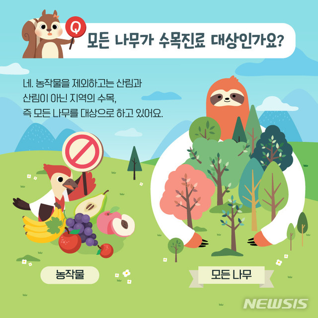 【대전=뉴시스】 김양수 기자 = ‘제1회 나무의사 자격시험’ 1차 필기시험이 27일 대전문정중학교에서 실시된다.2019.04.22(사진=산림청 제공) photo@newsis.com