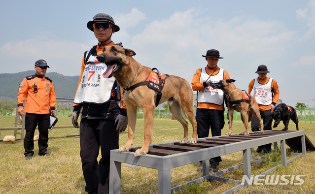 【대구=뉴시스】우종록 기자 = 22일 오후 대구 달성군 구지면 중앙119구조본부에서 열린 ‘제9회 소방청장배 119 인명구조견 경진대회’에서 핸들러와 구조견이 장애물을 통과하고 있다. 2019.04.22. wjr@newsis.com
