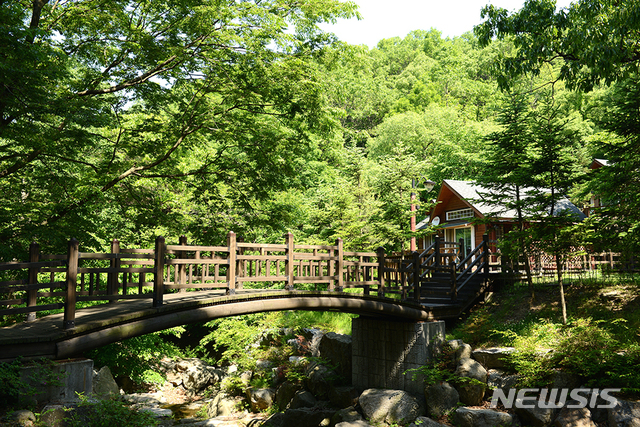 용인시 처인구 모현읍 초부리 용인 자연휴양림. (사진제공=용인시)