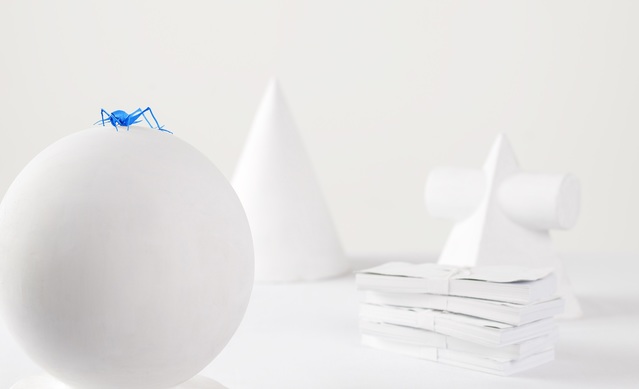 ⓒ임안나. 화이트 베일 연작, 기본 도형, 2008