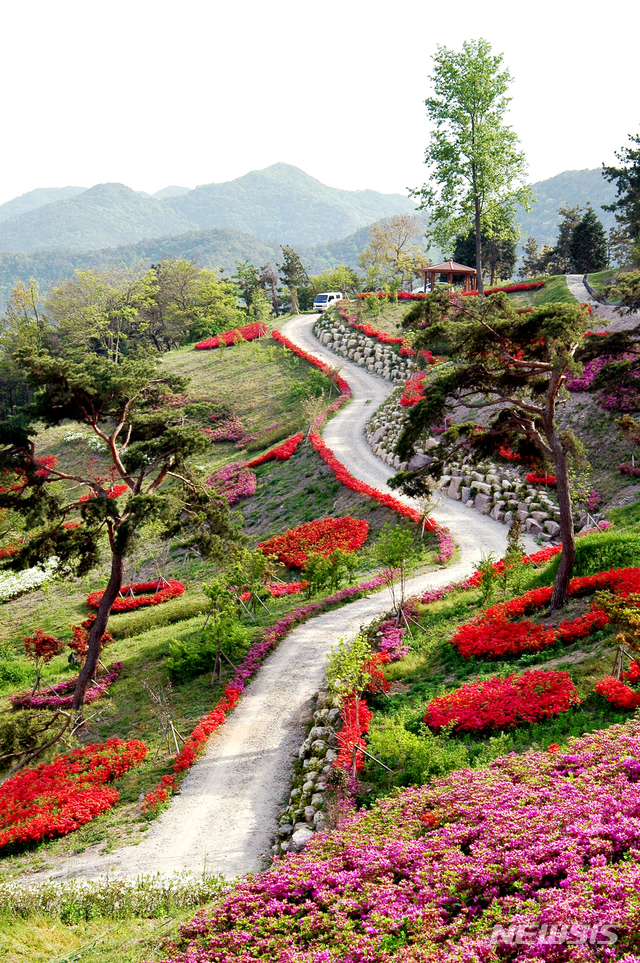 【영광=뉴시스】이창우 기자 = 25일 전남 영광군에 따르면 빼어난 자연경관과 관광명소를 알리기 위해 오는 27일부터 5월12일까지 '2019년 봄 여행주간'을 운영한다. 사진은 영광 6경(景)으로 꼽히는 법성포 숲쟁이 공원. 2019.04.25. (사진=영광군 제공)photo@newsis.com