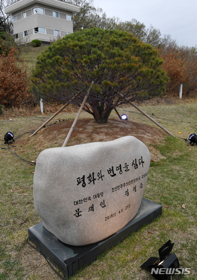 【판문점=뉴시스】사진공동취재단 = 26일 경기도 파주 판문점에서 '4.27 판문점선언 1주년 기념식' 리허설이 열렸다. 1년 전 문재인 대통령과 김정은 국무위원장이 함께 식수한 소나무. 2019.04.26.photo@newsis.com