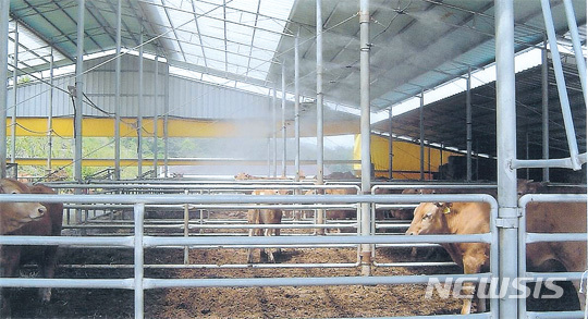 축사.(사진은 기사와 관계 없음)