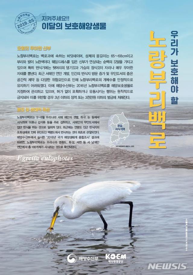 바다 위 순백의 신부, '노랑부리백로'를 지켜주세요