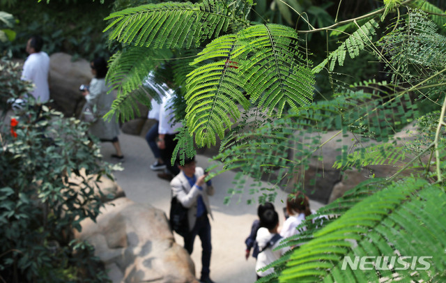 【서울=뉴시스】박미소 기자 = 서울식물원이 정식 개장한 1일 오후 서울 강서구 서울식물원에 관람객들이 온실을 관람하고 있다. 2019.05.01. misocamera@newsis.com