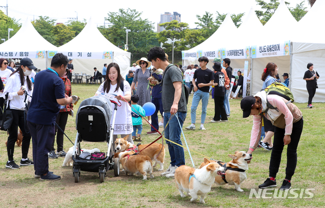 [제주=뉴시스] 우장호 기자 = 제주 반려동물 축제. (사진=뉴시스DB) woo1223@newsis.com