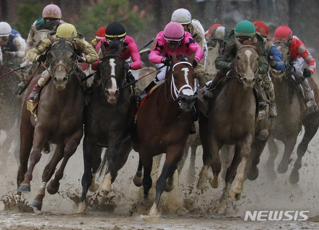 선두 4마리 중 오른쪽 두번째가 맥시멈 세큐리티이며 한 마리 건너 맨왼쪽에 컨트리 하우스다 AP